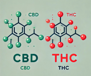 Qué son el CBD y el THC