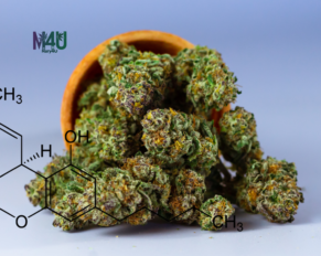 THC-Estructura-Cannabis